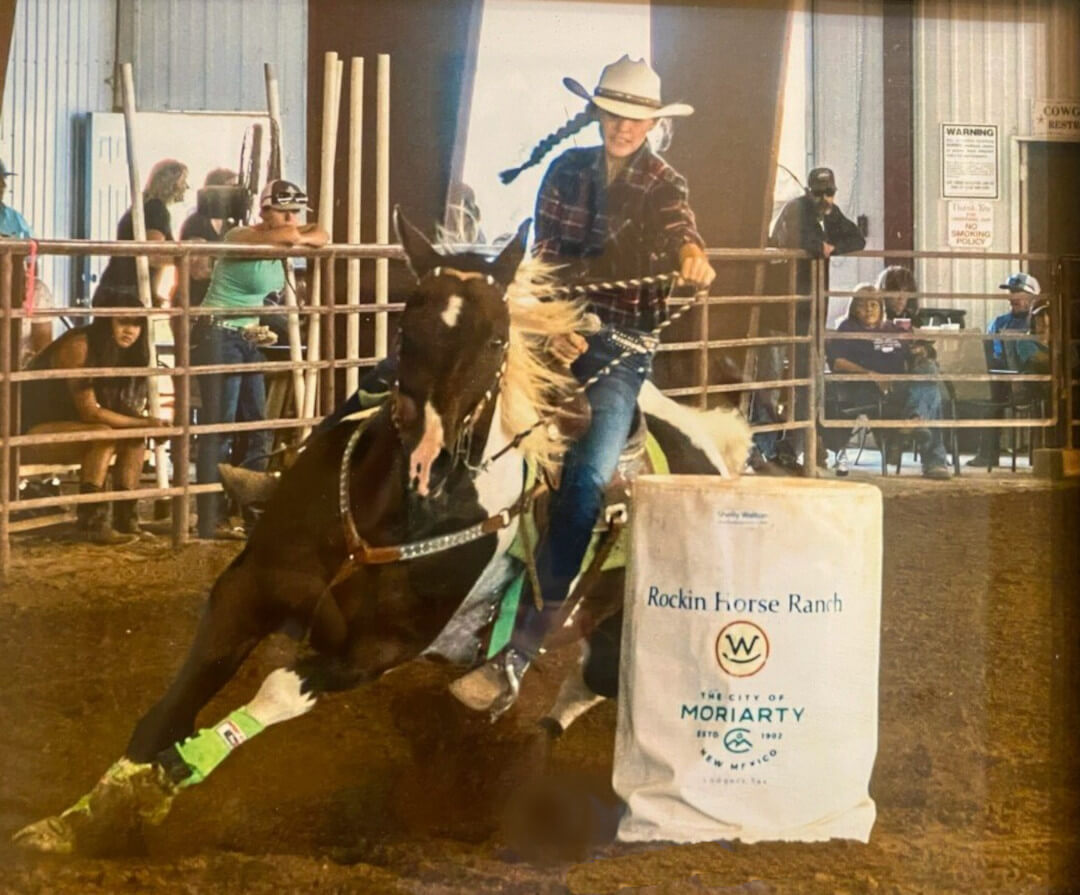 Holland Scholarship Holland Enterprise